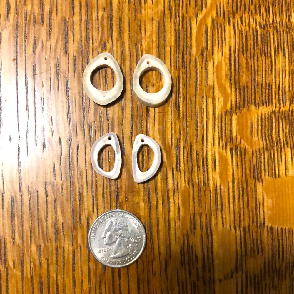Antler Earrings